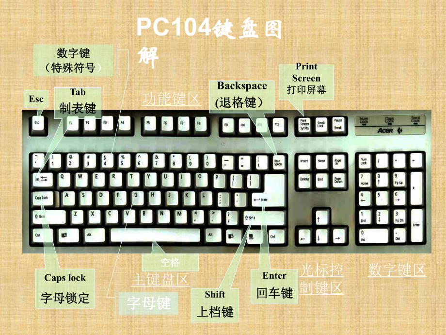 三年级上册信息技术课件－7认认真真学打字 十个手指键盘找家 ｜人教版(共22张PPT).ppt_第2页