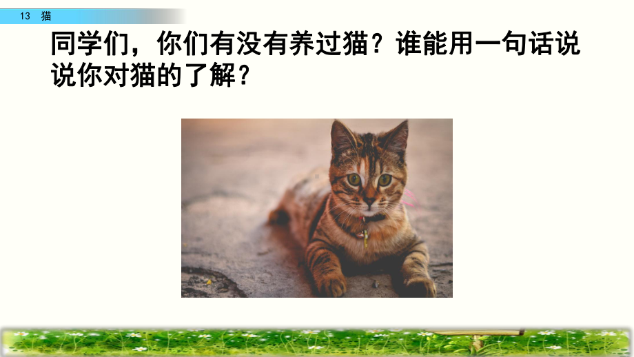 四年级语文下册课件-13 猫 (共39张PPT)-部编版.pptx_第1页