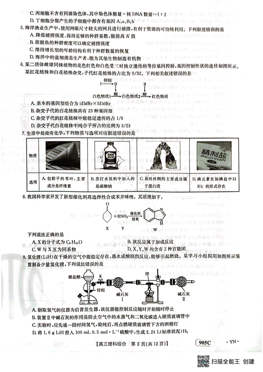 云南省2022-2023学年高三上学期11月联考试题 理综含答案.pdf_第2页