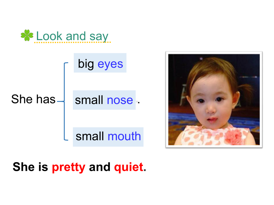 五年级上册英语课件－Unit2 She looks cute(Lesson7) ｜人教精通版 (共19张PPT).ppt_第3页