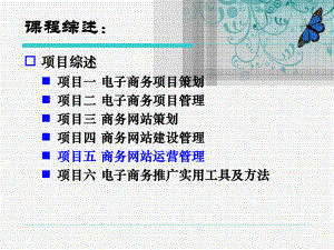 《电子商务项目管理实训（第三版）》课件项目五 商务网站运营管理.ppt