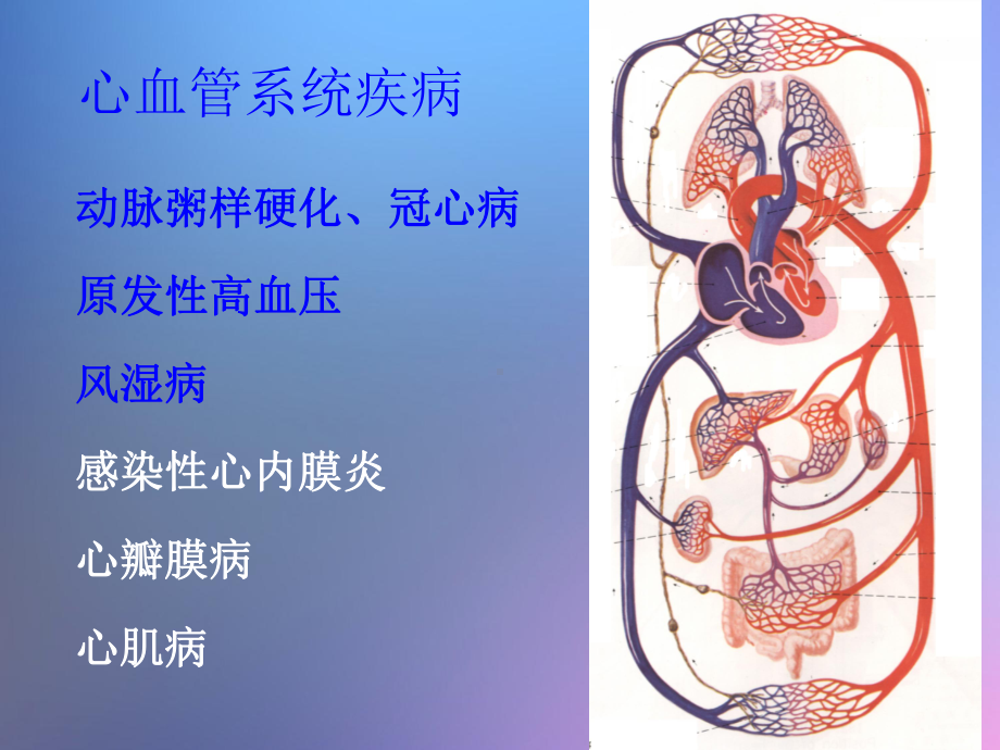 心血管系统疾病优秀课件.ppt_第2页