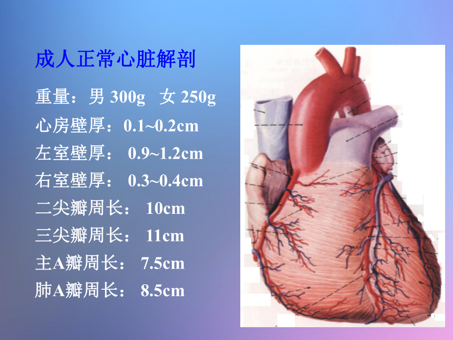 心血管系统疾病优秀课件.ppt_第3页