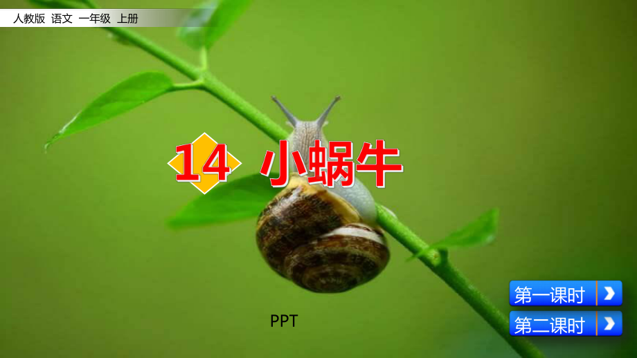 小蜗牛PPT课件3.pptx_第1页