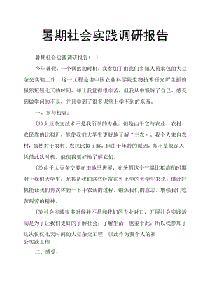 暑期社会实践调查研究报告.docx