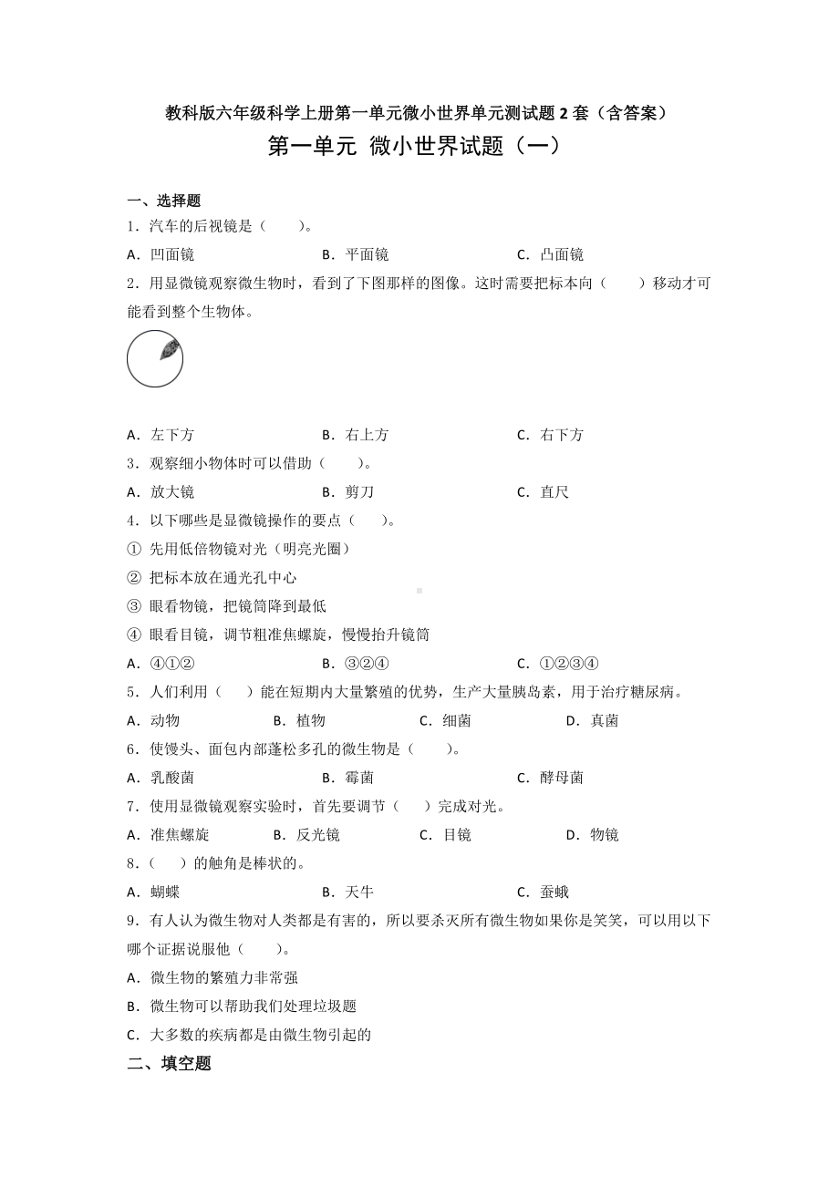 教科版六年级科学（上学期）第一单元微小世界单元测试题2套（含答案）.doc_第1页