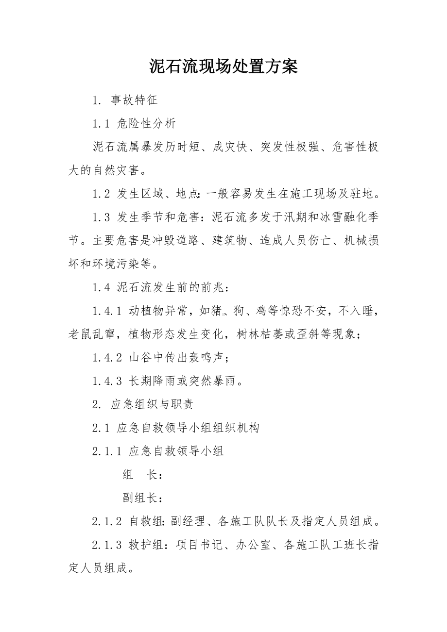 泥石流现场处置方案参考模板范本.docx_第1页