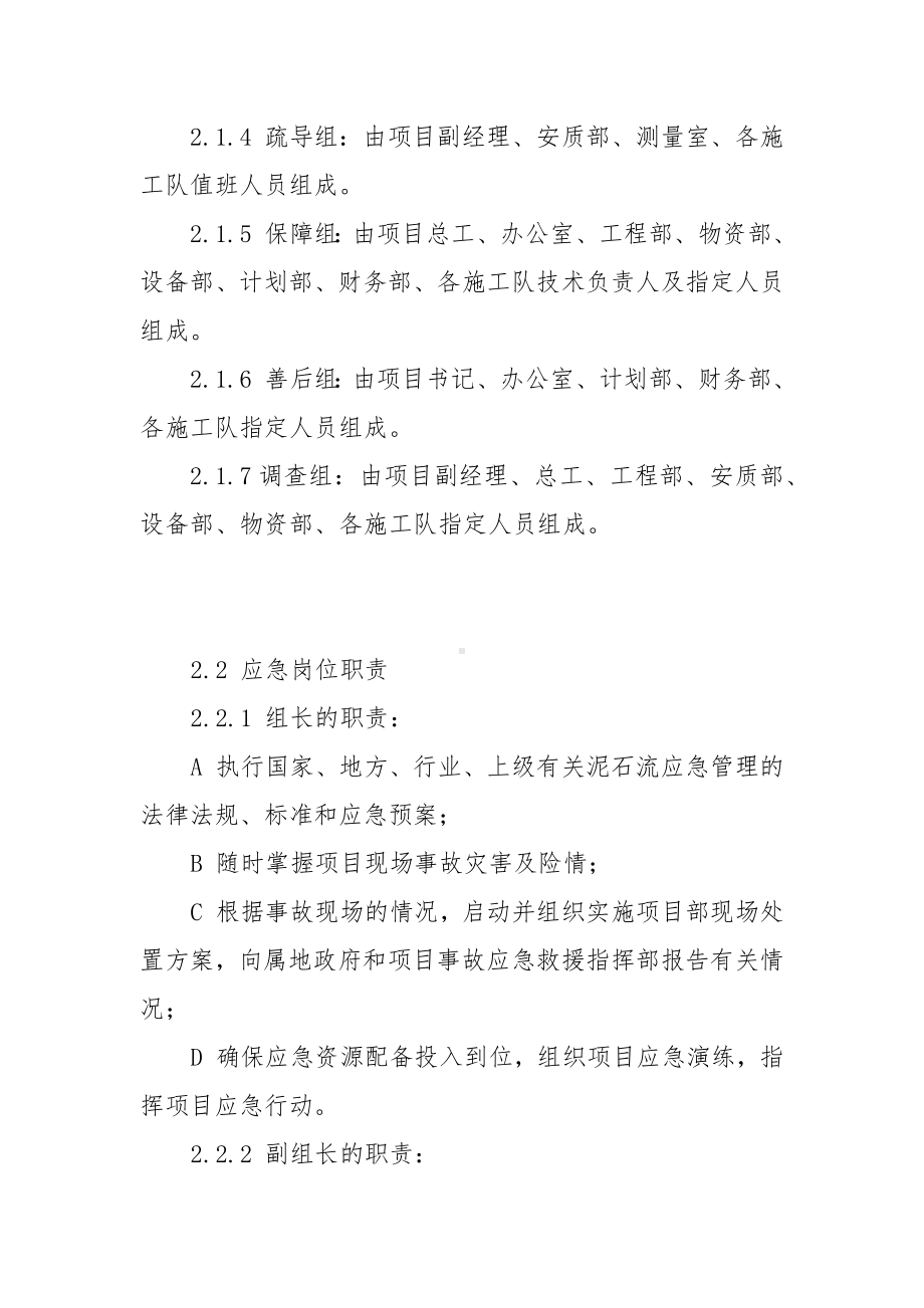 泥石流现场处置方案参考模板范本.docx_第2页