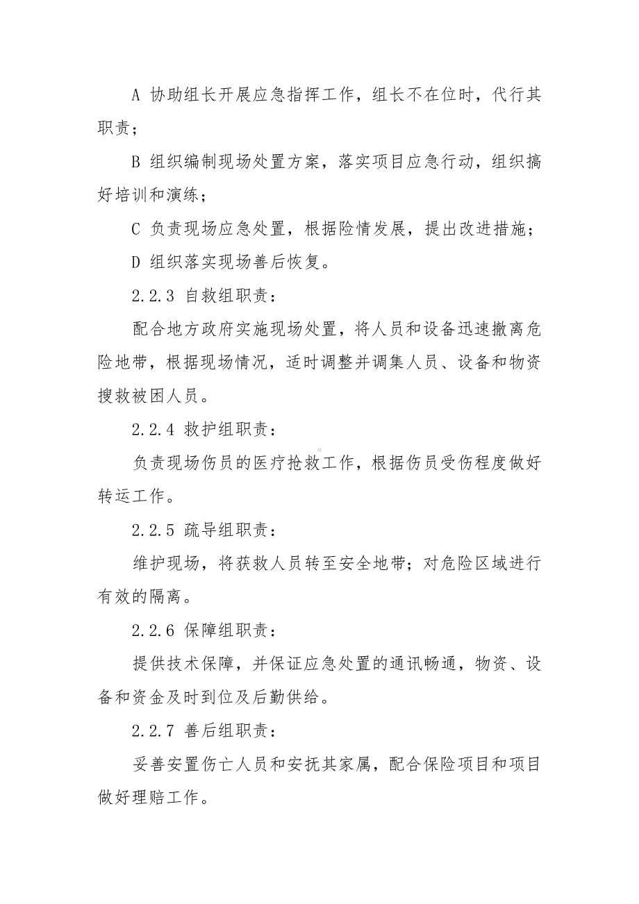 泥石流现场处置方案参考模板范本.docx_第3页