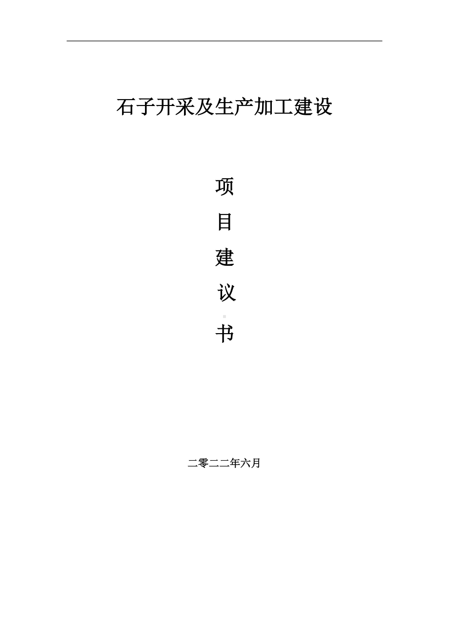 石子开采及生产加工项目建议书（写作模板）.doc_第1页