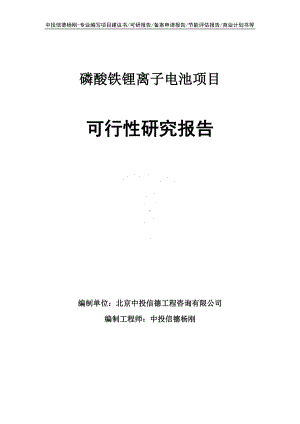 磷酸铁锂离子电池项目可行性研究报告申请备案.doc