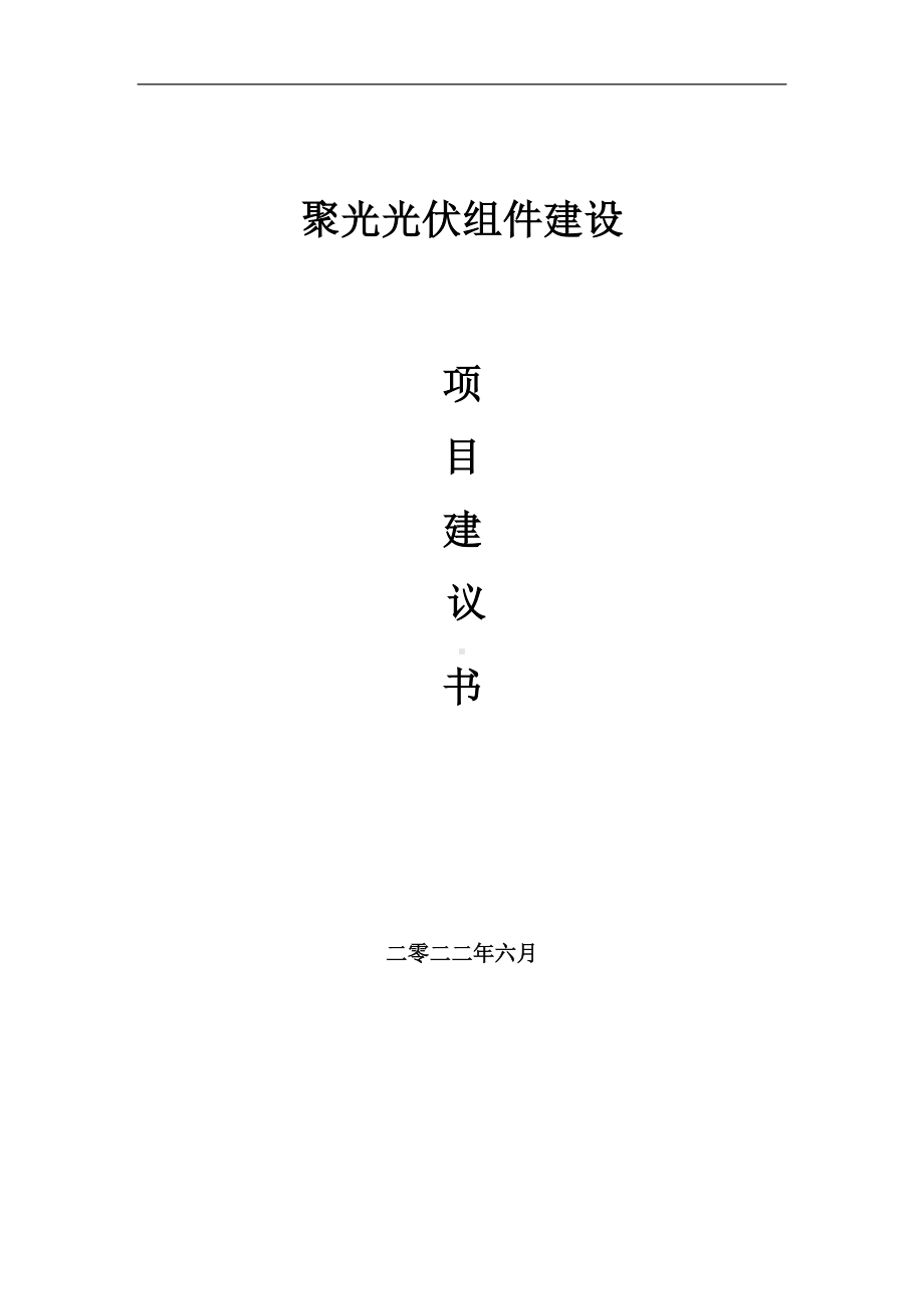 聚光光伏组件项目建议书（写作模板）.doc_第1页