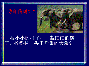 习惯养成主题班会ppt课件ppt课件（共21张ppt）2022秋上学期.pptx