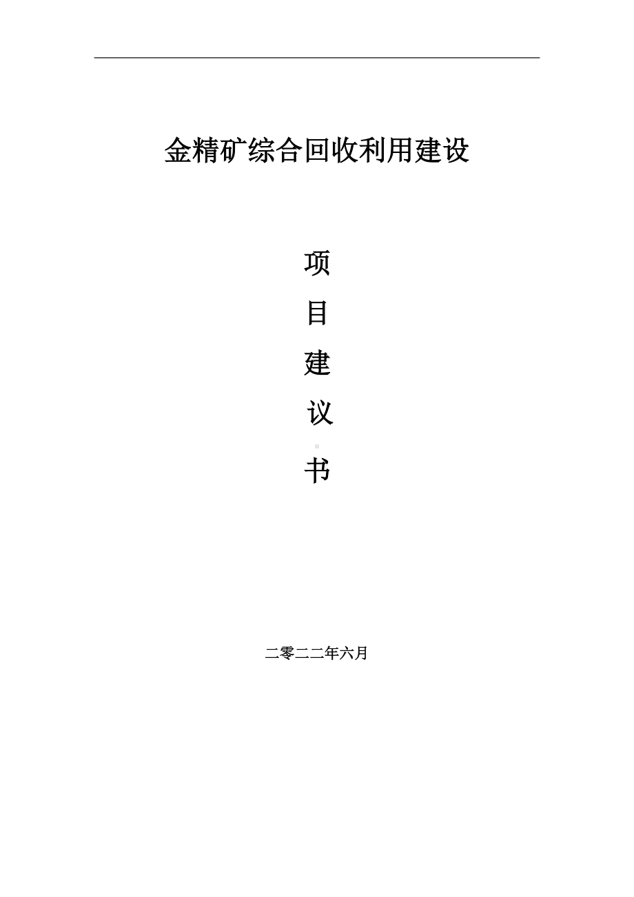 金精矿综合回收利用项目建议书（写作模板）.doc_第1页