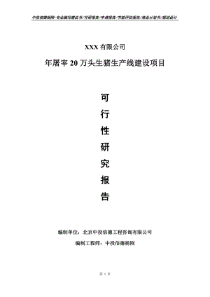 年屠宰20万头生猪生产线建设可行性研究报告建议书.doc