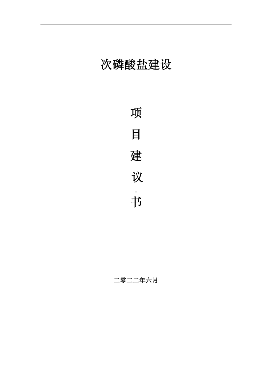 次磷酸盐项目建议书（写作模板）.doc_第1页