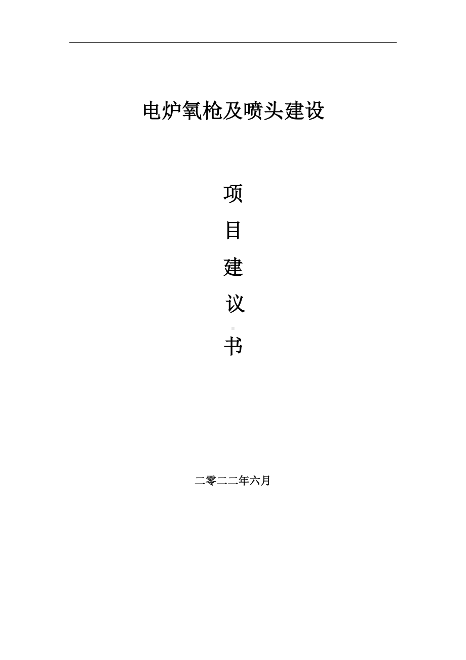 电炉氧枪及喷头项目建议书（写作模板）.doc_第1页