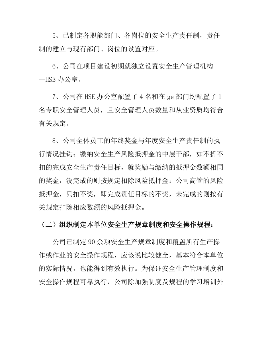 企业主要负责人安全生产履职情况报告参考模板范本.docx_第2页