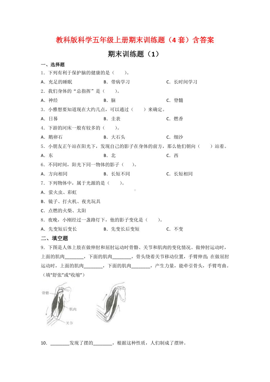 教科版科学五年级上册期末训练题（4套）含答案.doc_第1页