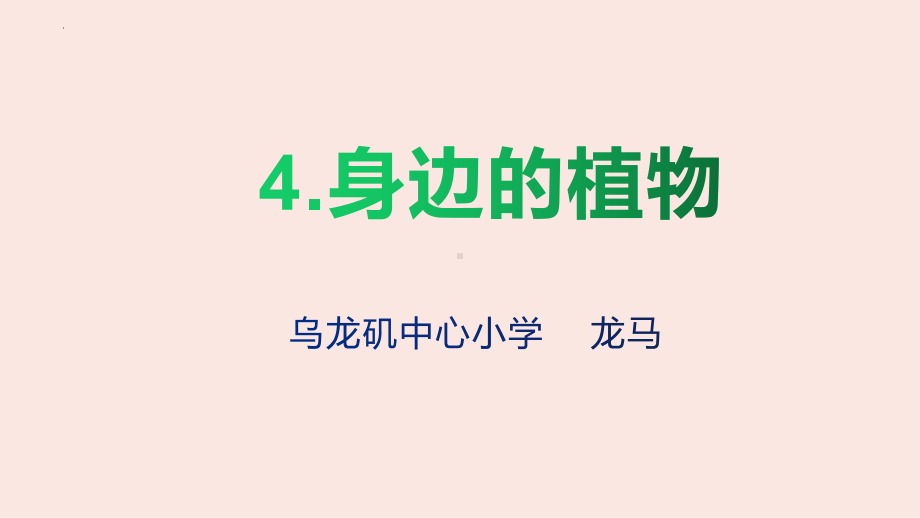 4.身边的植物（ppt课件）-2022新冀人版一年级上册《科学》.pptx_第1页