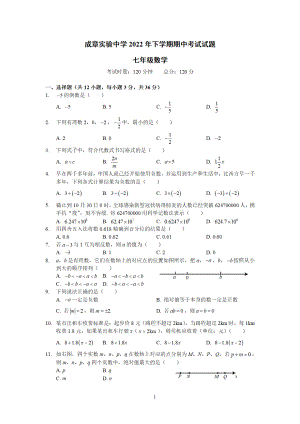 湖南省衡阳市成章实验 2022-2023学年七年级数学下学期期中考试试题.pdf