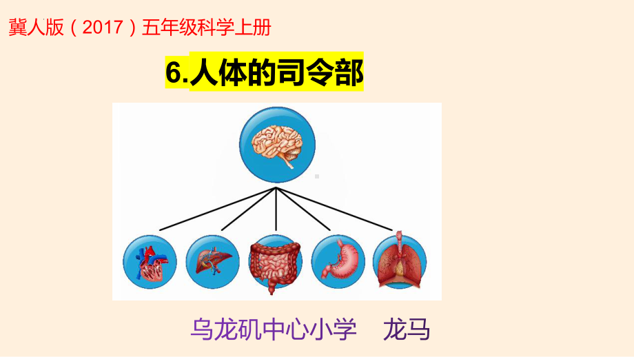 6.人体的司令部（ppt课件）-2022新冀人版五年级上册《科学》.pptx_第1页