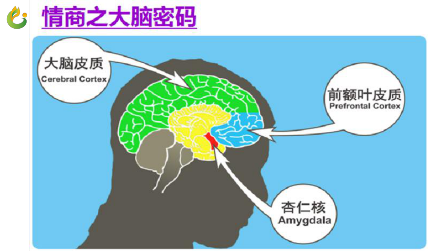 疫情下如何帮助自己快速提升心理免疫力（二）心理强健四妙招初级中学八年级心理健康ppt课件(共12张PPT).ppt_第3页