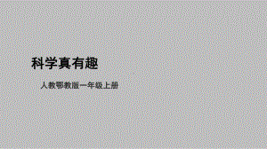 1.1《科学真有趣》（ppt课件）-2022新人教鄂教版一年级上册《科学》.pptx