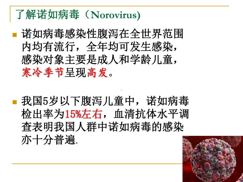 九年级60班第6周主题班会ppt课件：诺如病毒(共38张PPT).pptx_第3页