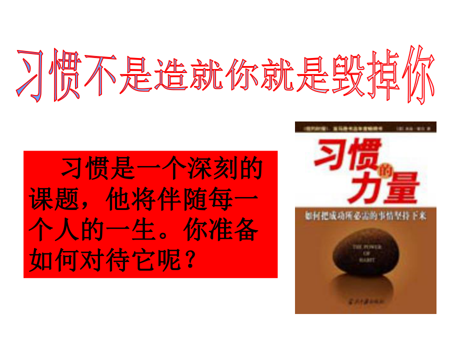 九年级60班下学期第2周主题班会ppt课件：培养良好的学习习惯 (共33张PPT).pptx_第2页