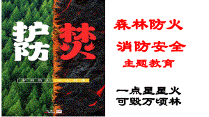 森林防火消防安全 ppt课件-2022秋高中主题班会.pptx