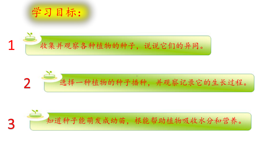 (新教材)大象版三年级下册科学 32播下希望的种子 教学课件.pptx_第2页