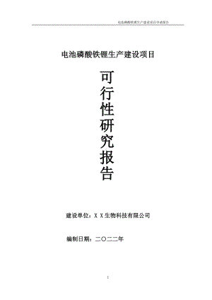 电池磷酸铁锂生产项目可行性研究报告备案申请模板.doc