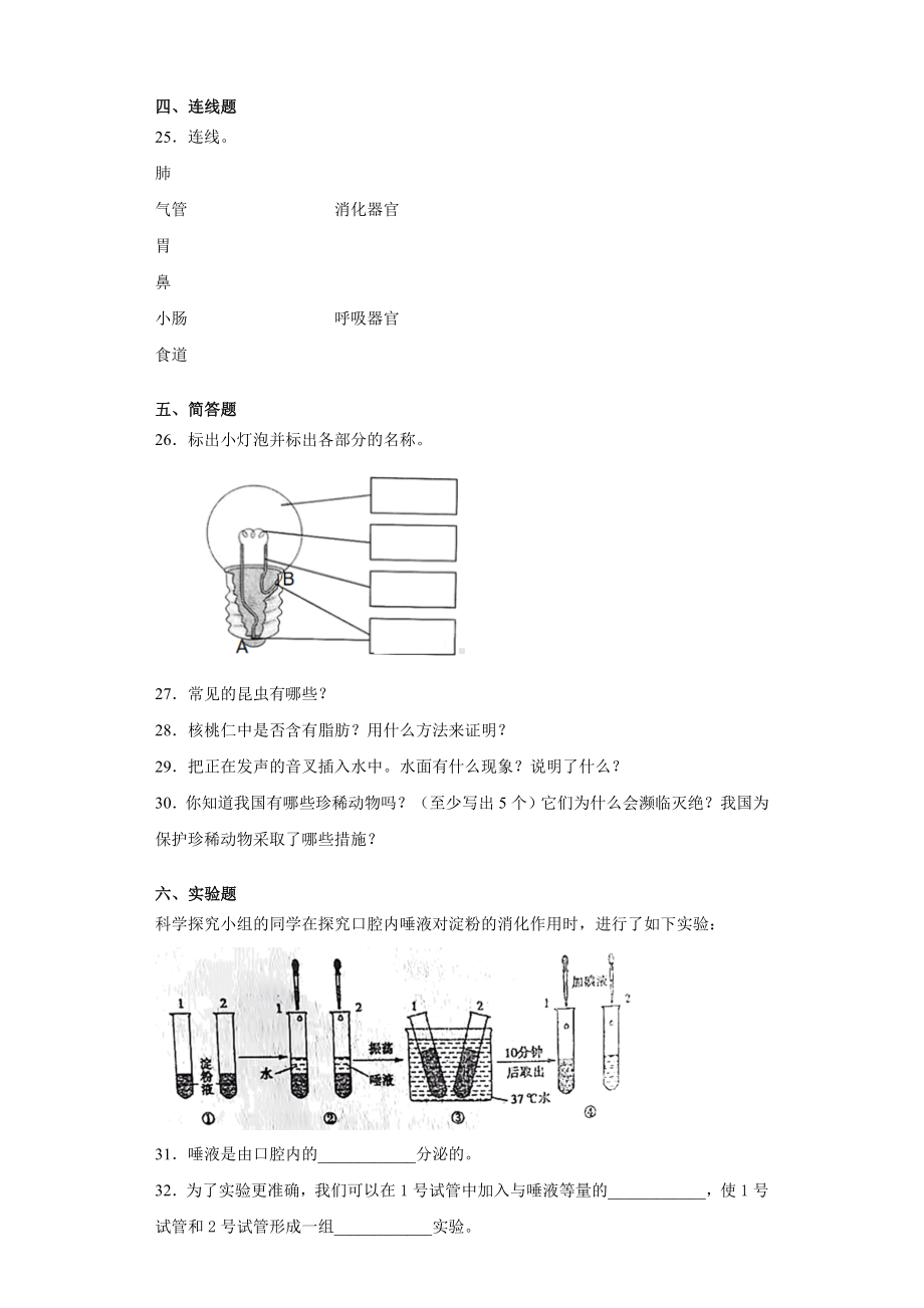 2022新青岛版（五四制）四年级上册《科学》期末复习试卷（试题）(2).docx_第3页