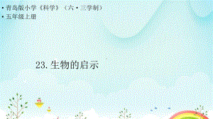 23.《生物的启示》ppt课件-2022新青岛版（六三制）五年级上册《科学》.pptx