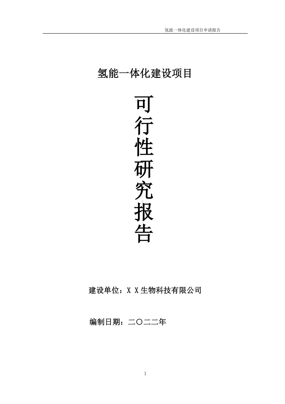 氢能一体化项目可行性研究报告备案申请模板.doc_第1页