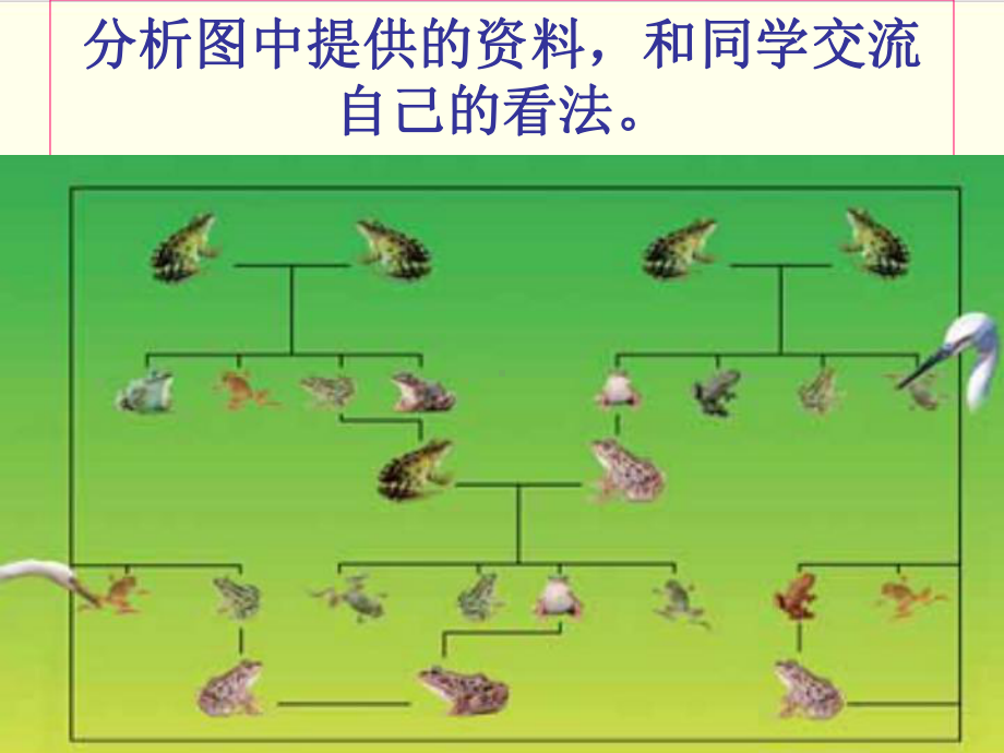 (教科版)小学科学《谁选择了它们》系列1课件.ppt_第3页