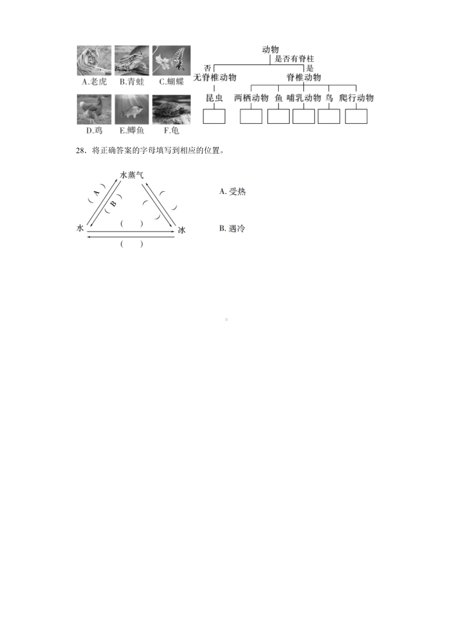 2022新人教鄂教版四年级上册《科学》综合练习（期中）.docx_第3页