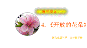 (新教材)大象版三年级下册科学 34 开放的花朵 教学课件.pptx