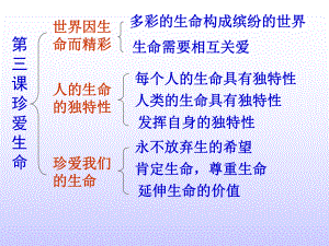 第三课珍爱生命学习培训模板课件.ppt