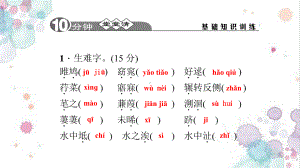 (人教版)九年级语文下册：24《诗经》两首习题课件.ppt