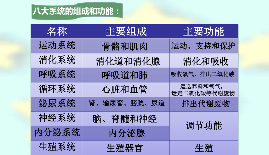 2023苏教版生物七年级下册期末复习课件.pptx_第3页