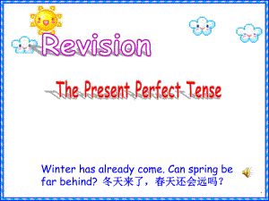 (中高考典范课例教学展示课件)The Present Perfect Tense.ppt