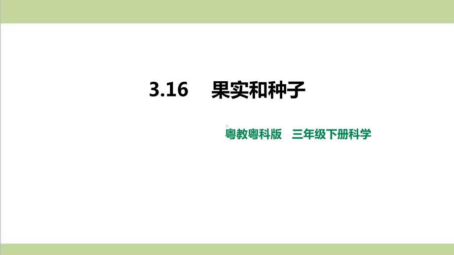 (新教材)粤教版三年级下册科学 316 果实和种子 第2课时课件.pptx_第1页