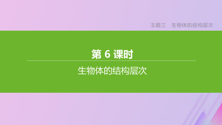 (北京专版)2020年中考生物复习主题三生物体的结构层次第06课时生物体的结构层次课件.pptx_第1页