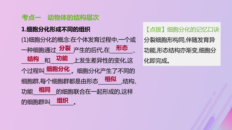 (北京专版)2020年中考生物复习主题三生物体的结构层次第06课时生物体的结构层次课件.pptx_第2页