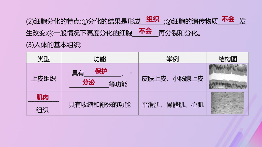 (北京专版)2020年中考生物复习主题三生物体的结构层次第06课时生物体的结构层次课件.pptx_第3页