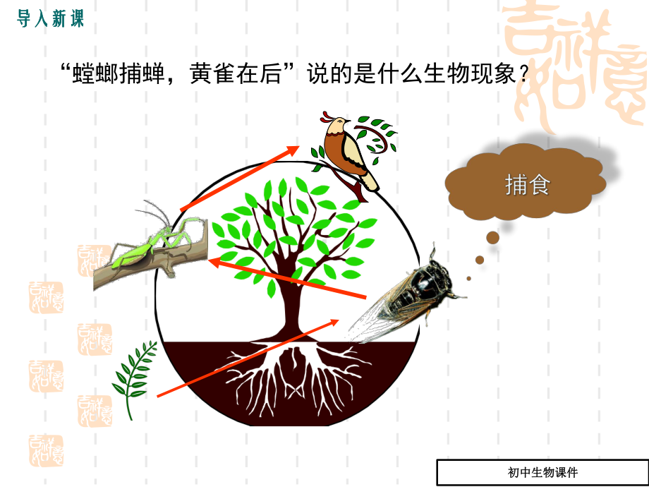 (北师大版)八年级下生物：233 生态系统的结构和功能教学课件.ppt_第2页