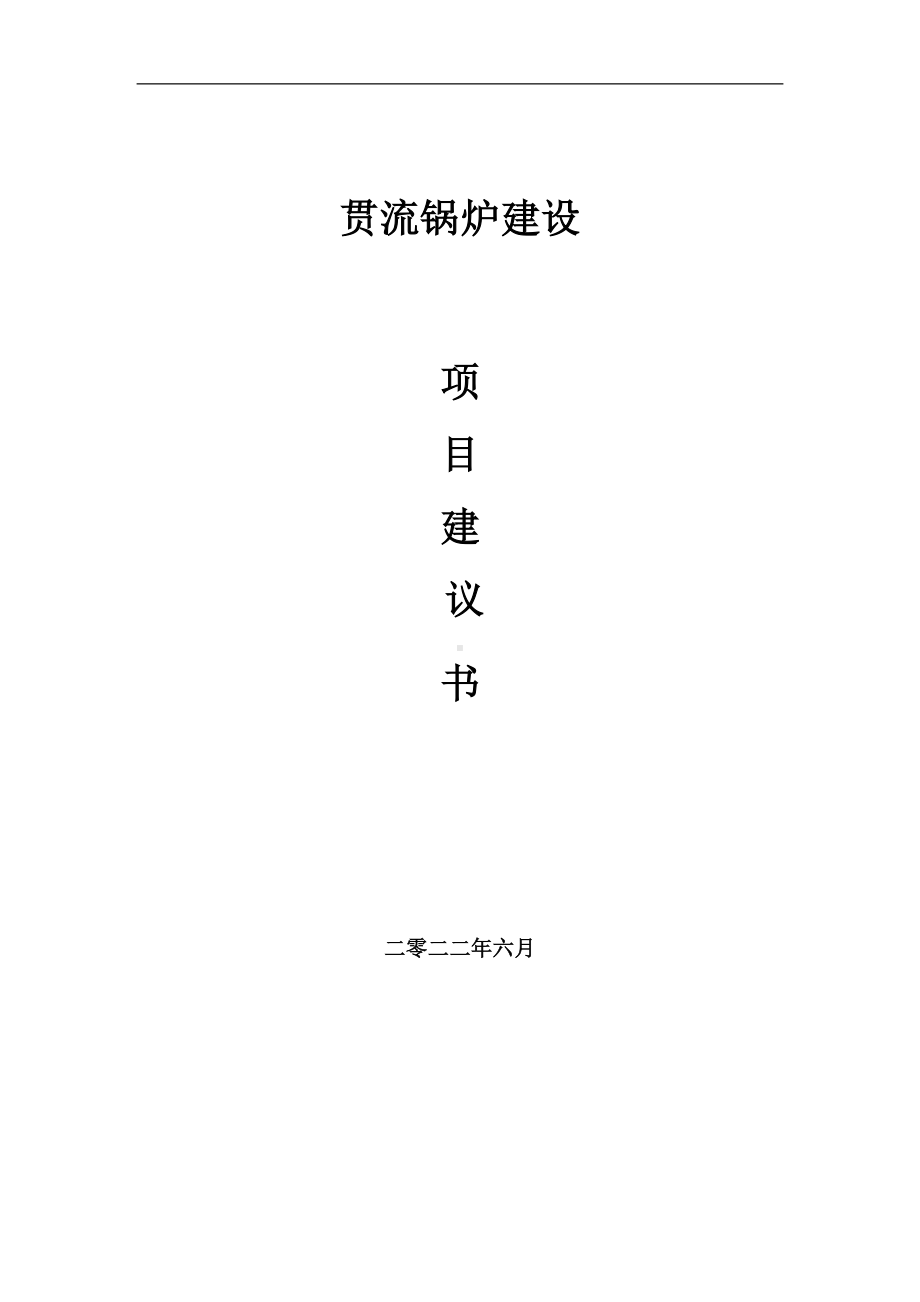 贯流锅炉项目建议书（写作模板）.doc_第1页