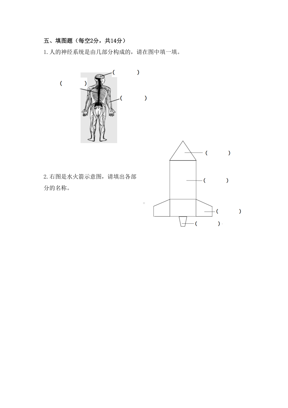 2022新青岛版（五四制）五年级下册《科学》期末测试卷（试题）.docx_第3页